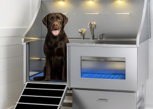 Cleaning Hygiene Products