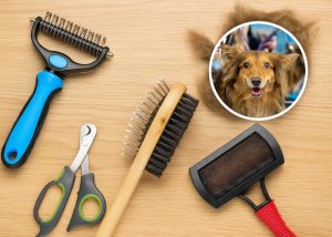 Grooming Products