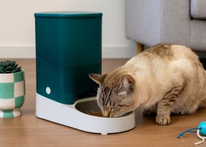 Pet Feeding Products