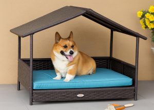 Pet Housing Furniture