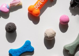 Pet Toys